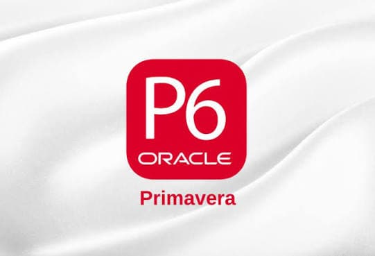Primavera P6 Training
